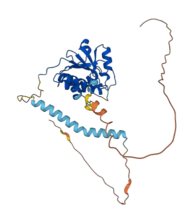 TRMT10A 3D structure