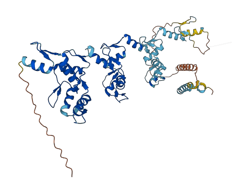 ZNF564 3D structure