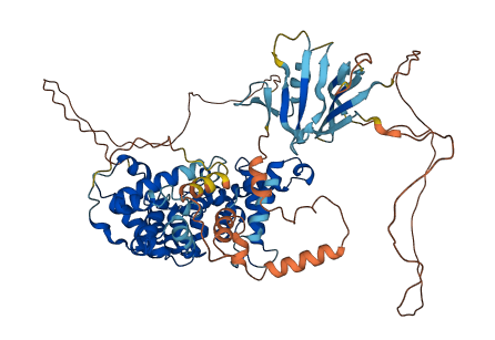 TBC1D15 3D structure