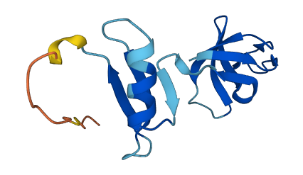 GRAPL 3D structure