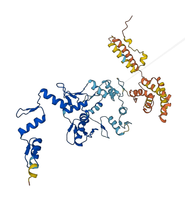 ZNF596 3D structure