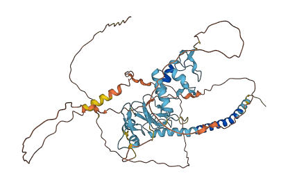 RNF217 3D structure
