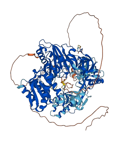 PIWIL2 3D structure