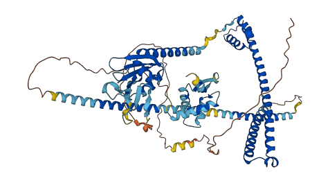 ENOX1 3D structure