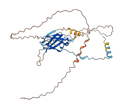 FNDC8 3D structure