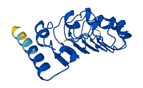 LRRC20 3D structure