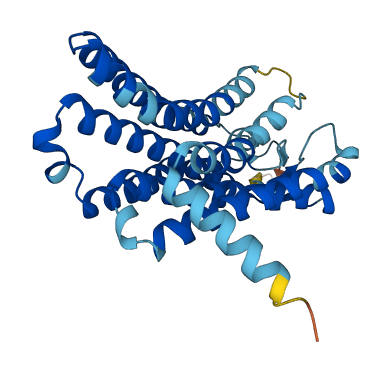 OR51E1 3D structure