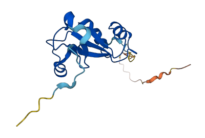 MRPL30 3D structure