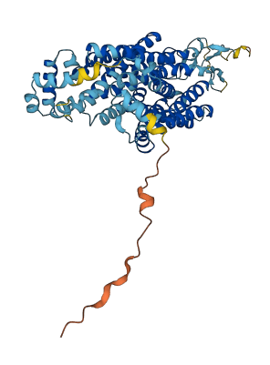 SLC22A8 3D structure