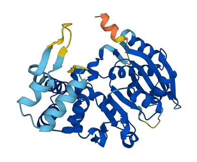 DENND10 3D structure