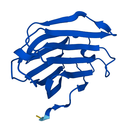LGALS14 3D structure