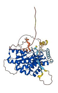 PI4K2B 3D structure