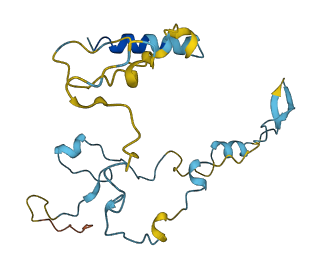 PIFO 3D structure