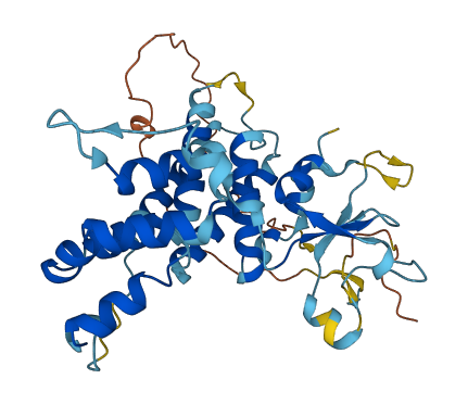 FBXO25 3D structure