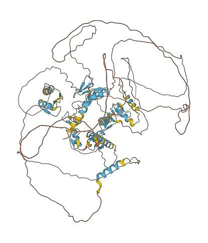 ZNF507 3D structure