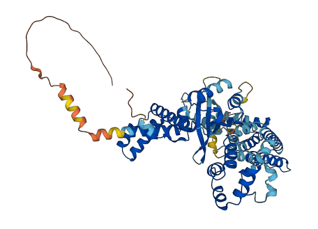 FAM200A 3D structure