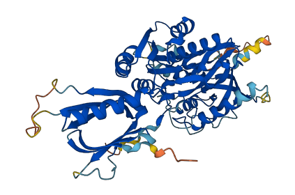 CERK 3D structure