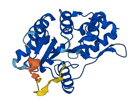 PHOSPHO1 3D structure