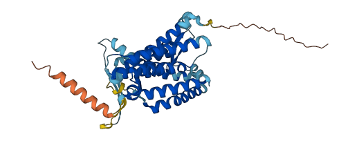 HM13 3D structure