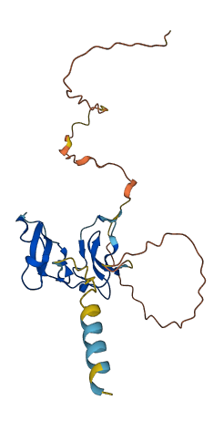 WFDC5 3D structure