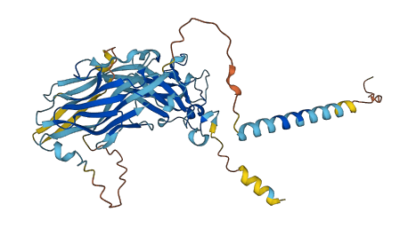 ZPLD1 3D structure