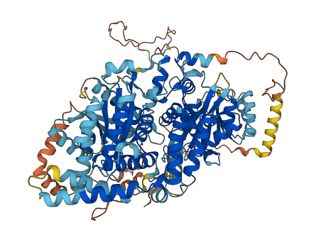 URGCP 3D structure