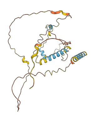 CD99L2 3D structure