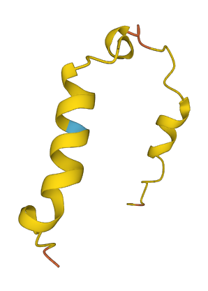 LINC00308 3D structure