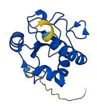 AGR3 3D structure