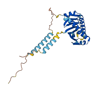 RAET1E 3D structure