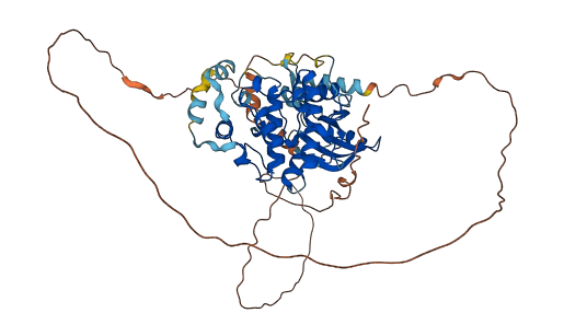 MAPK15 3D structure