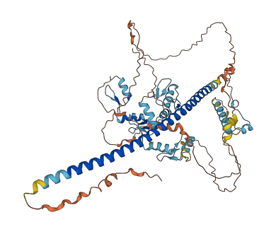 ZNF398 3D structure