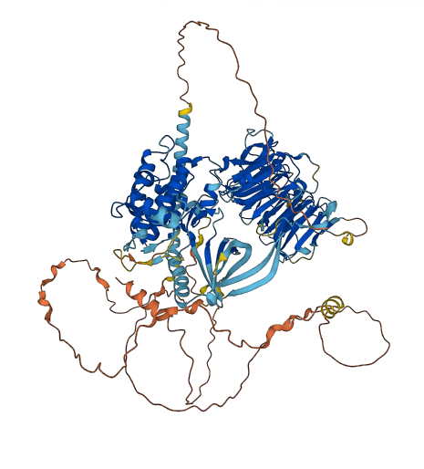 NEK9 3D structure