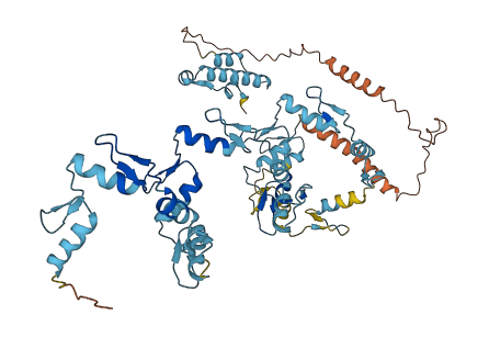 ZNF675 3D structure