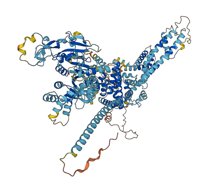 TRPM4 3D structure