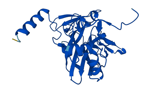 RPS4Y2 3D structure