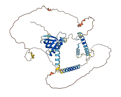 PLEKHO2 3D structure