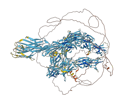 DSCAML1 3D structure