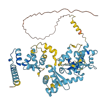 MAGEE2 3D structure