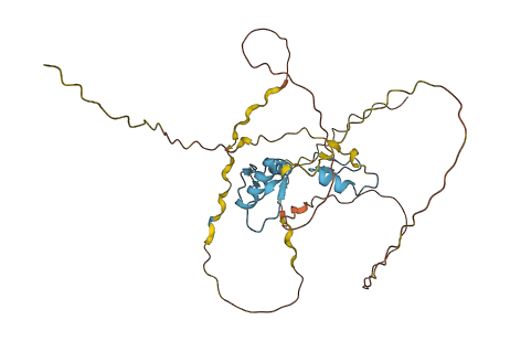 KLF14 3D structure
