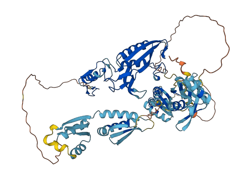 DTX3L 3D structure