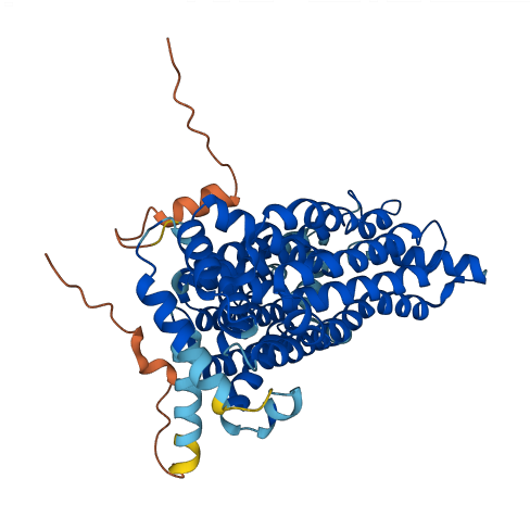 SLC2A14 3D structure