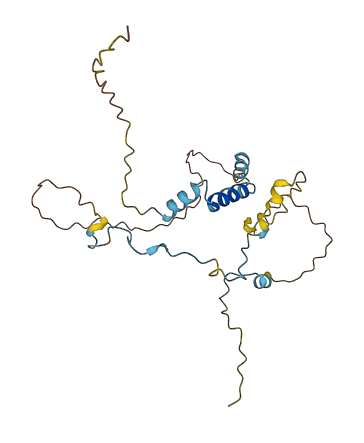 MYOZ3 3D structure