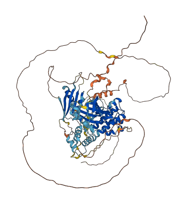 BRSK1 3D structure
