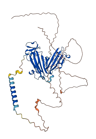 NETO1 3D structure