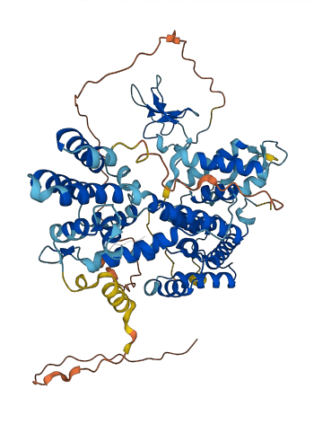 RASGRP4 3D structure