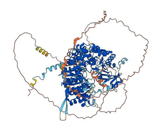 HELQ 3D structure