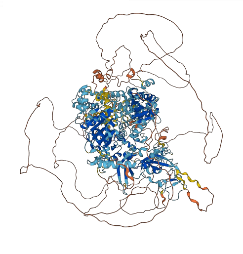 CHD5 3D structure