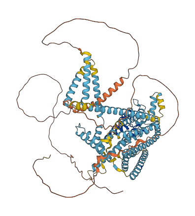 TMC2 3D structure