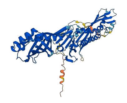 BPIFB1 3D structure